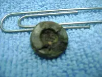 Todays find! 029.webp