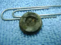 Todays find! 030.webp