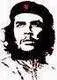 avatar_12175.webp