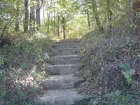 006.webp