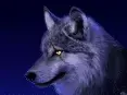 avatar_56118.webp