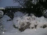 snow 004.webp