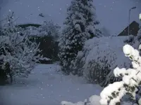 snow 005.webp