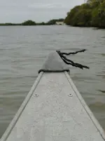 canoe ride, everglades city 022.webp