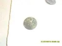 eagle button.webp