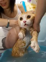But you said you loved me!.webp