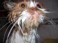 I don\'t think I like you anymore.webp