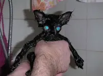 E.T. phone home....quick.webp