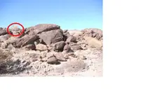 Rock.webp