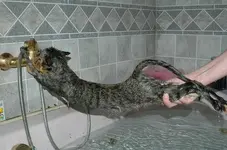 Oh, Heck no!!.webp