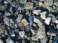 11-24-10 Insitu.webp