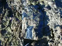 11-28-10 dove base.webp