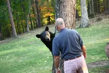Bears_Sept2010_0040.webp