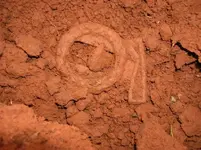 Wreath in Dirt-s.webp