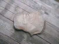new coin.webp