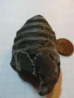 Artifact unknown 1.webp