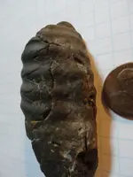 Artifact unknown 2.webp