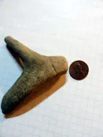 Artifact Antler1.webp