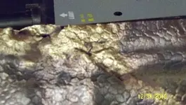 brass cleaned a little.webp