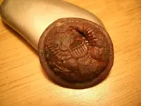 Buttonfull.webp