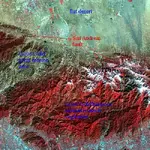 gold fields 1.webp