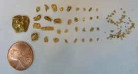 gold 2.webp