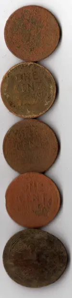 5Wheats151.webp