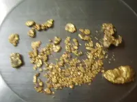 gold 4.webp