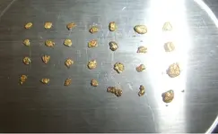 gold 6.webp