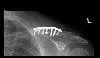 avatar_24482.webp