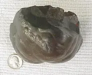 rock2.webp