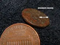 copper copy.webp