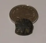 Unknown Find.webp