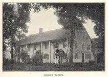 Collins.webp