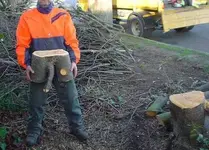 wood2.webp