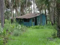 Sheepshearershouse.webp