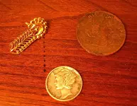 3NewFinds.webp