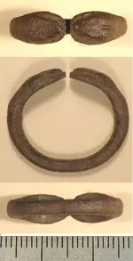 Ring.webp