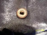back of eagle button.webp