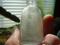 DSCF6180.webp