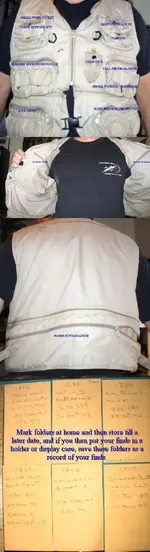 Pinginsuit.webp