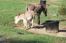 0928momand baby.webp