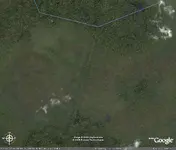 Mayan Road 1.webp