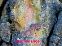 shoe 4 (Medium).webp