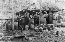 moonshine_still_sugar_valley.webp
