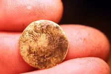 nc finds 11-19 006.webp