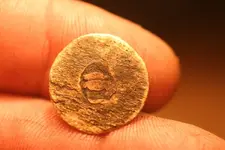 nc finds 11-19 007.webp