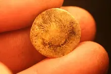 nc finds 11-19 010.webp