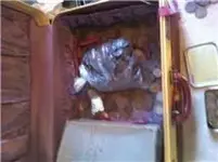 coins5.webp