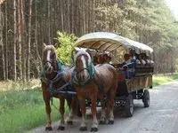 reit_und_fahrtouristik_sander_kremser_200.webp